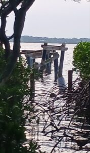 Terra Ceia Park Dock Damage